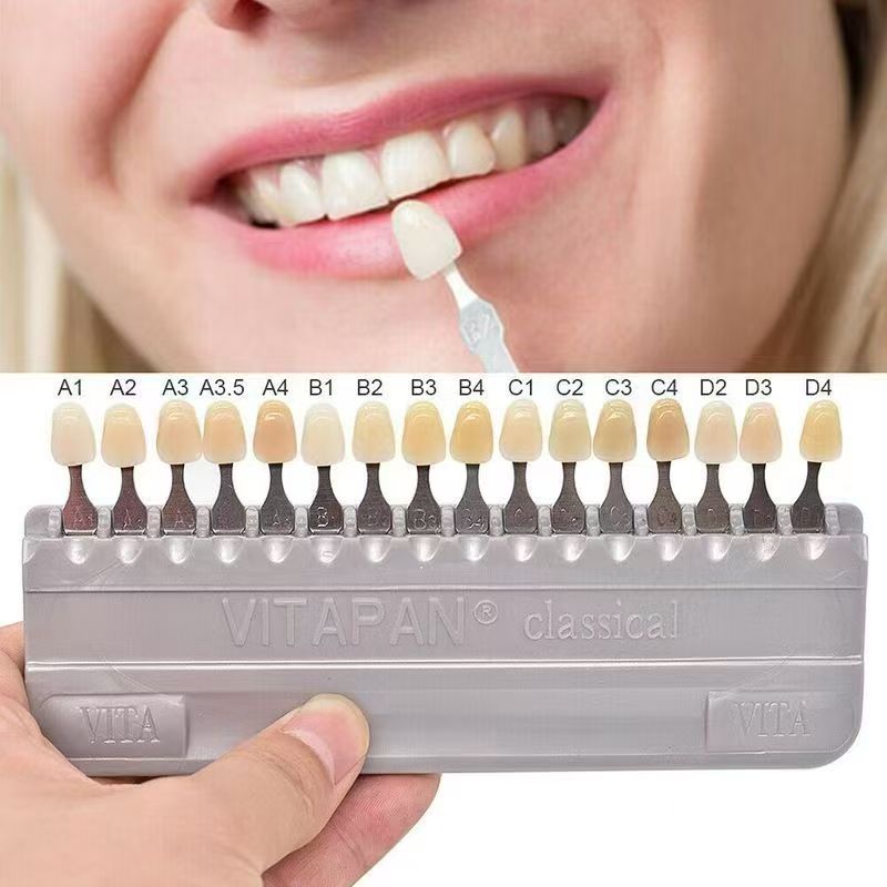 VITA 16 Colors Teeth Shade Gui - Teeth Whitening Dental ulasan dan harga