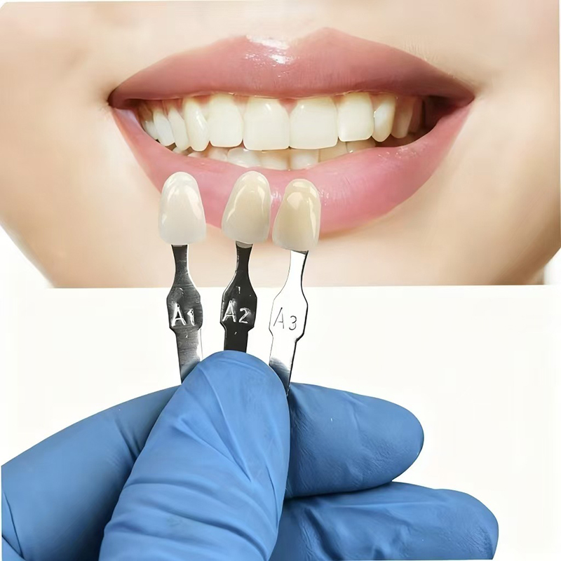 VITA 16 Colors Teeth Shade Gui - Teeth Whitening Dental ulasan dan harga